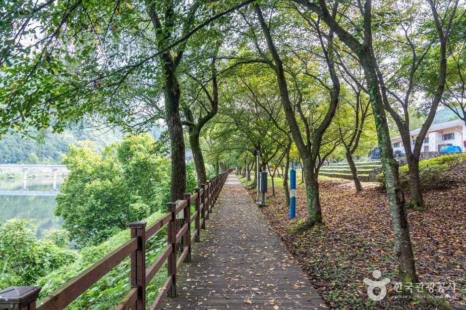 대덕_금강로하스대청공원 (3)