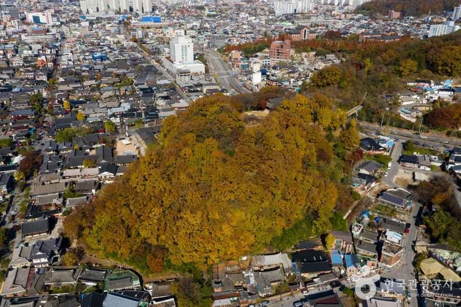 오목대 (3)