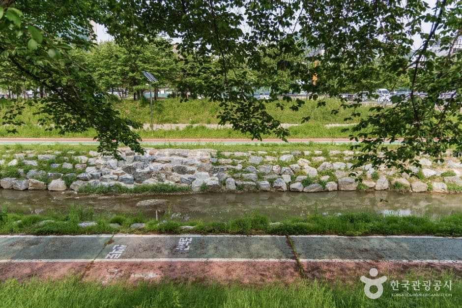 서울_여의천 (3)