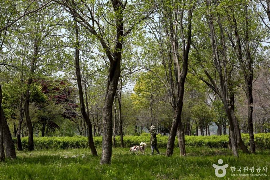 수풀로 양수리 (1)