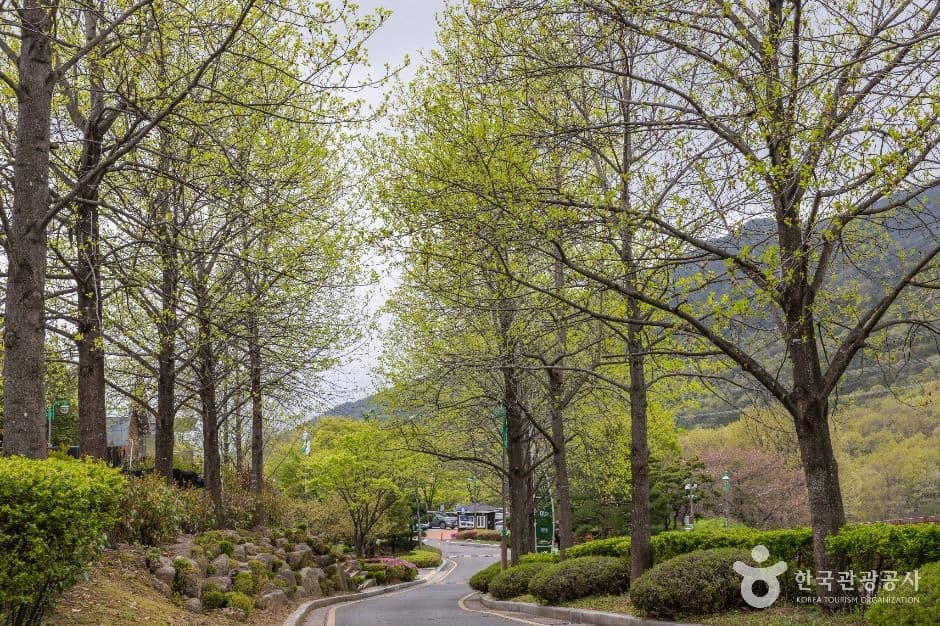 부산_화명수목원 (7)