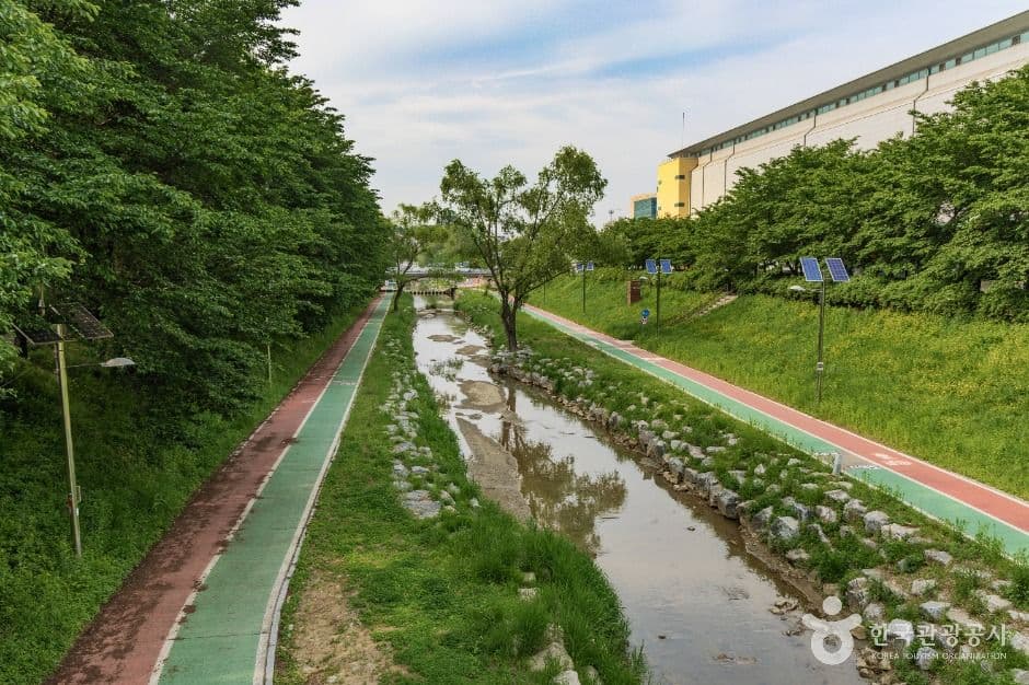 서울_여의천 (4)