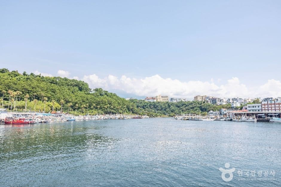 제주_서귀포항 (3)
