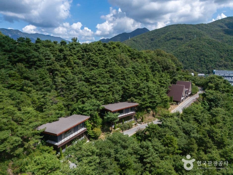 칠곡_세아휴양림수목원 (7)