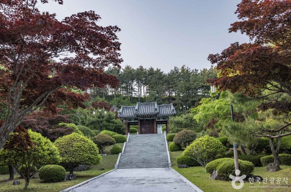 고성당항포랜드 (5)
