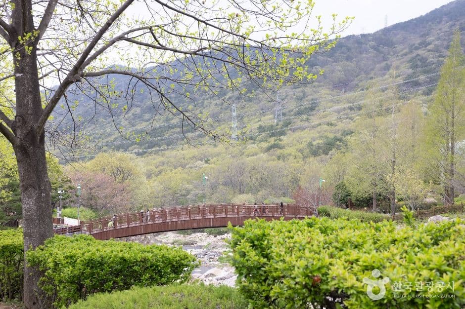 부산_화명수목원 (8)