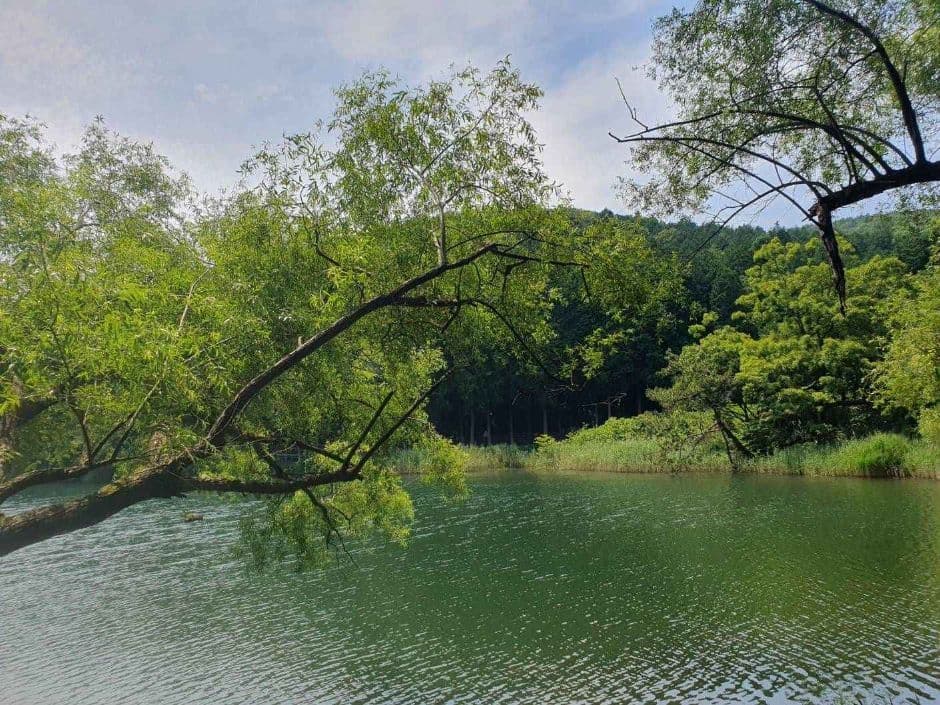 여수_미평산림욕장 (2)