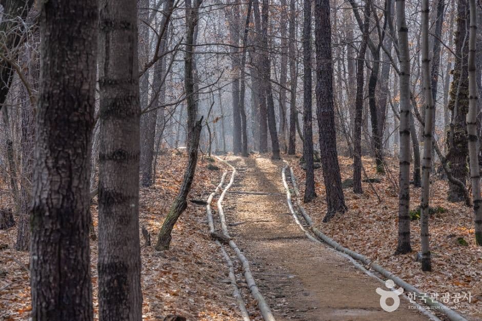 서울_대모산도시자연공원 (7)