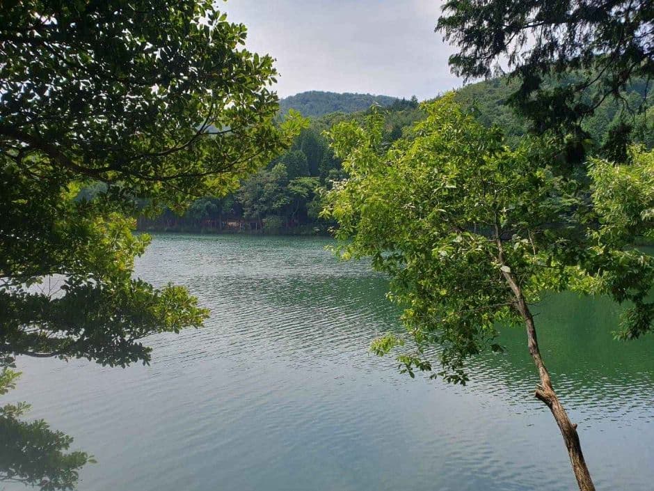 여수_미평산림욕장 (3)