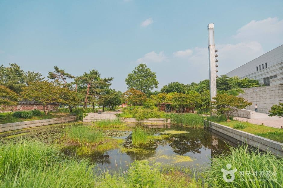 국립중앙박물관 전통염료식물원