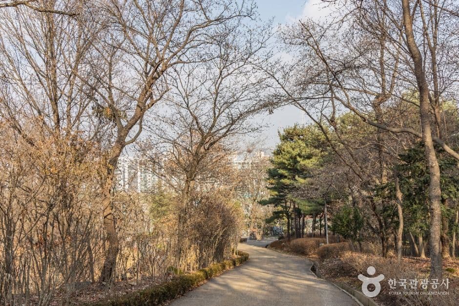 서울_대모산도시자연공원 (8)
