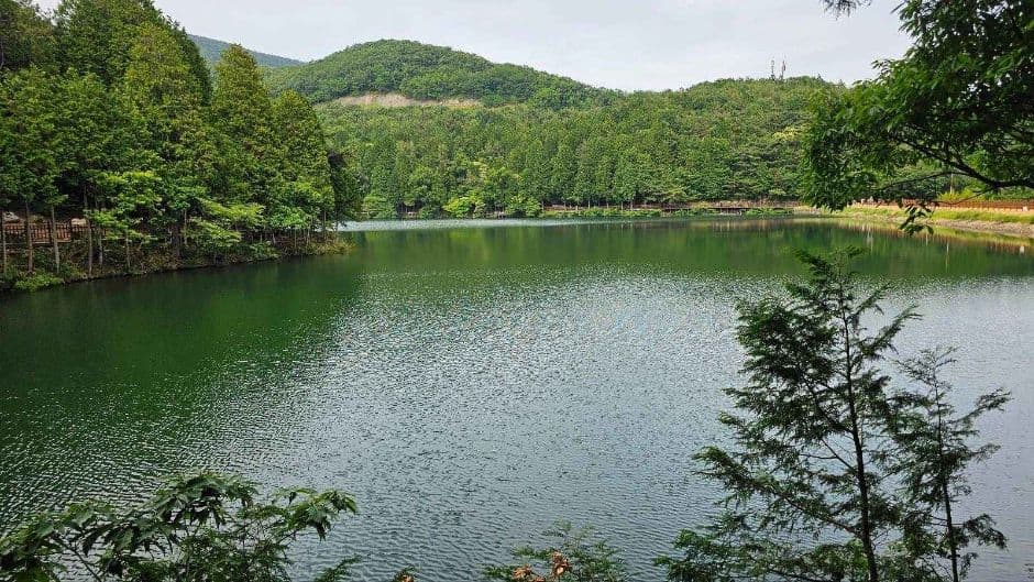 여수_미평산림욕장 (4)