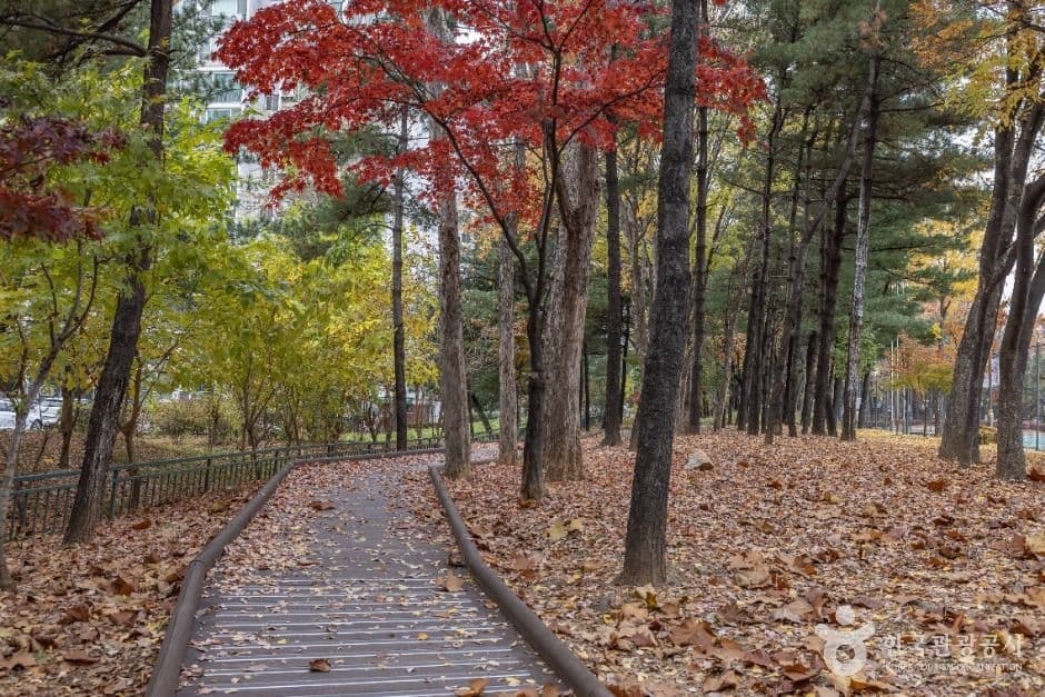서울금천_독산근린공원 (4)