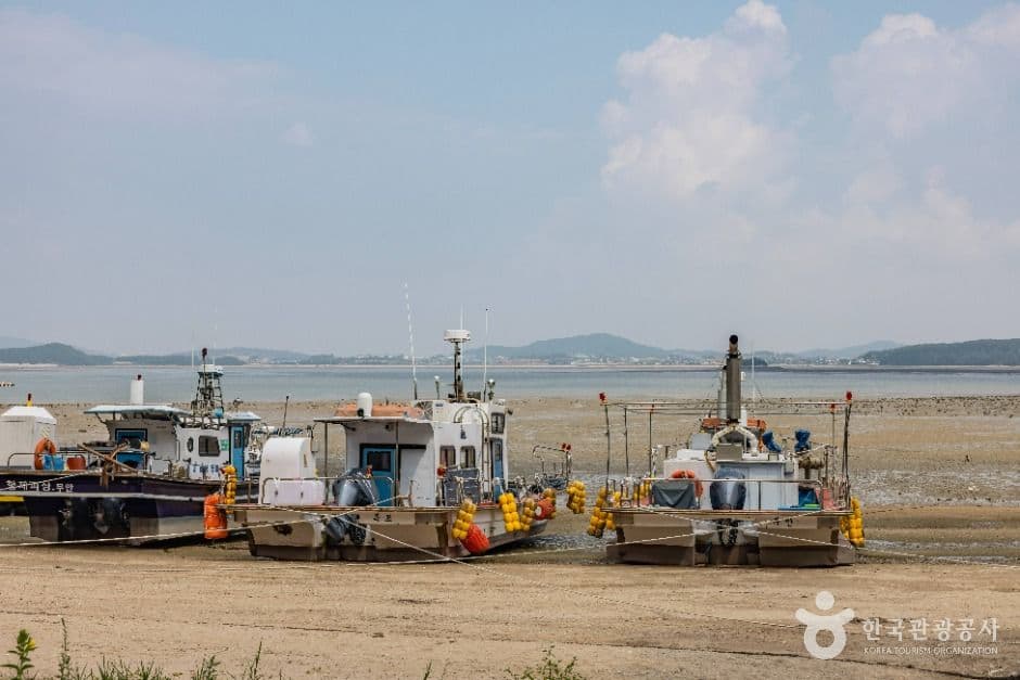 무안_홀통유원지·홀통해변 (1)