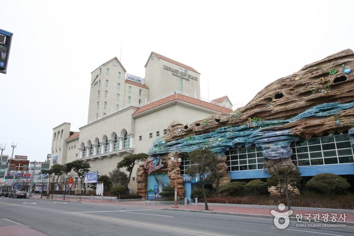 JFK Daecheon Waterpark (JFK 대천 워터파크)