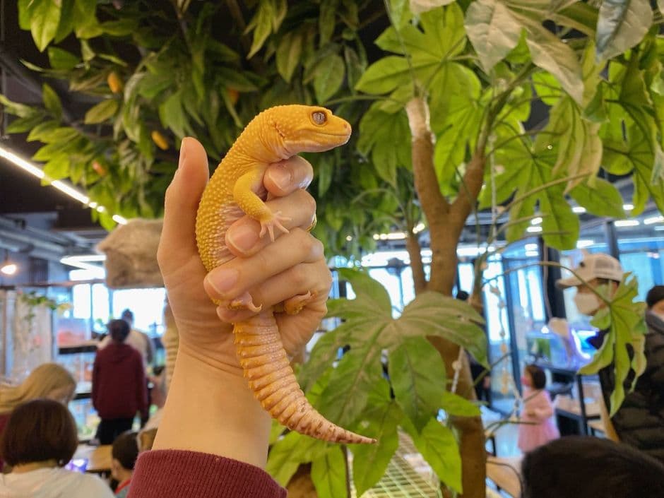 인천_마리앤쥬 (17)
