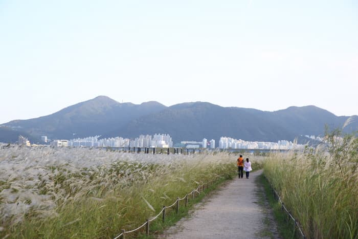 삼락생태공원_06