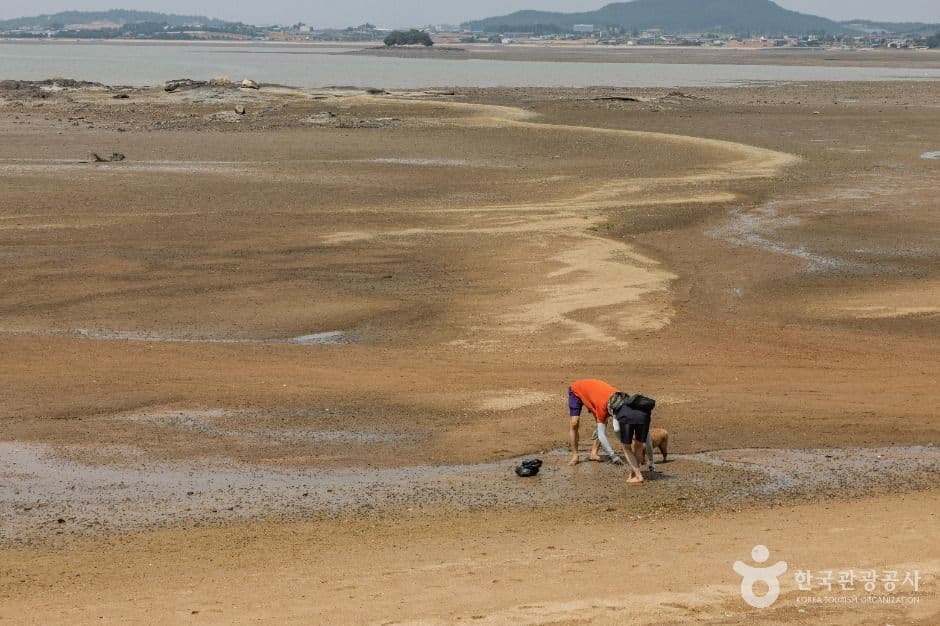 무안_홀통유원지·홀통해변 (3)