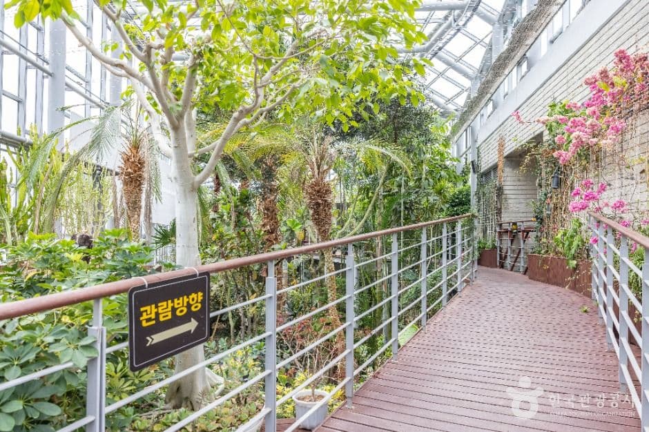 부산_화명수목원 (17)