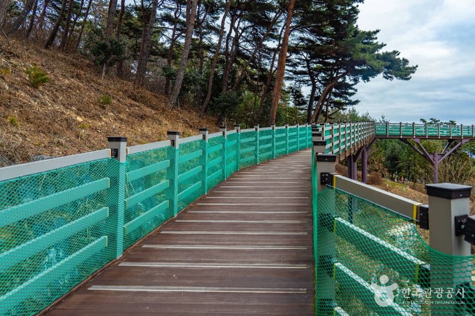 예산_봉수산자연휴양림&수목원 (10)