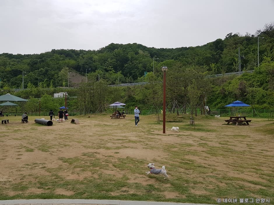 경기도_안양시_삼막애견공원_공원내부