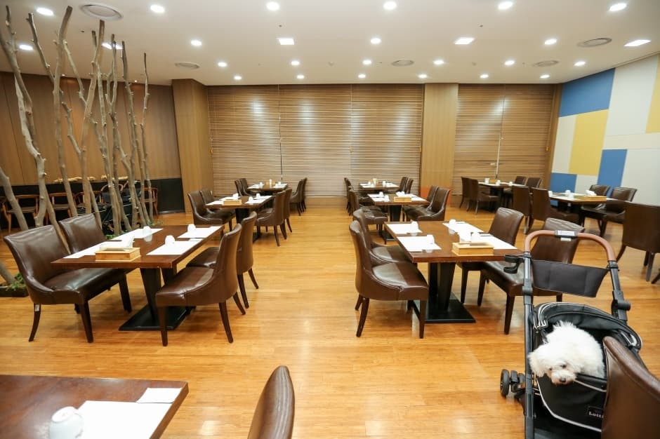 셰프스키친_6