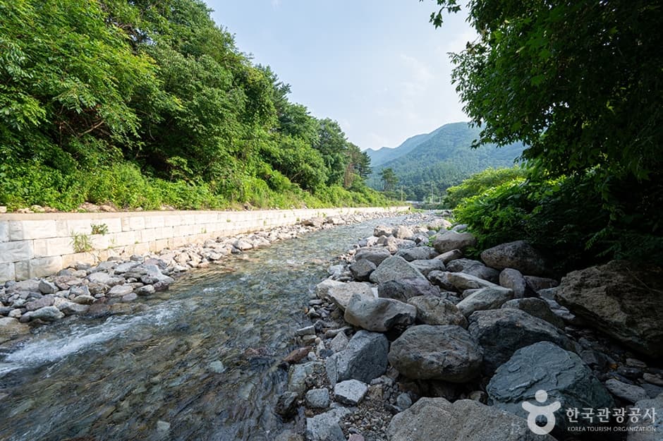 지장계곡 (6)