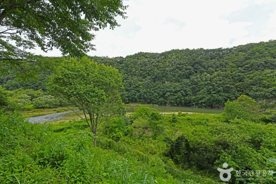 화순_물염적벽 (5)