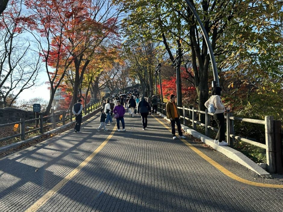 남산순환나들길_4