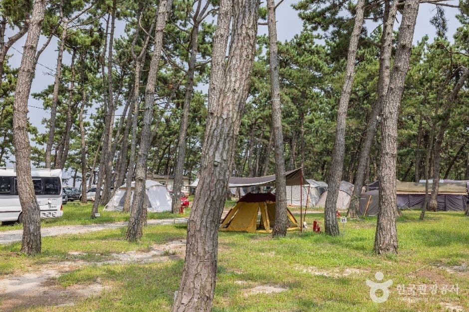 무안_홀통유원지·홀통해변 (6)