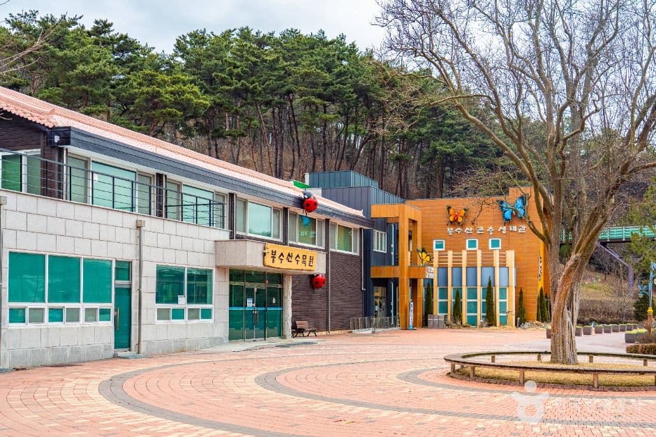 예산_봉수산자연휴양림&수목원 (11)