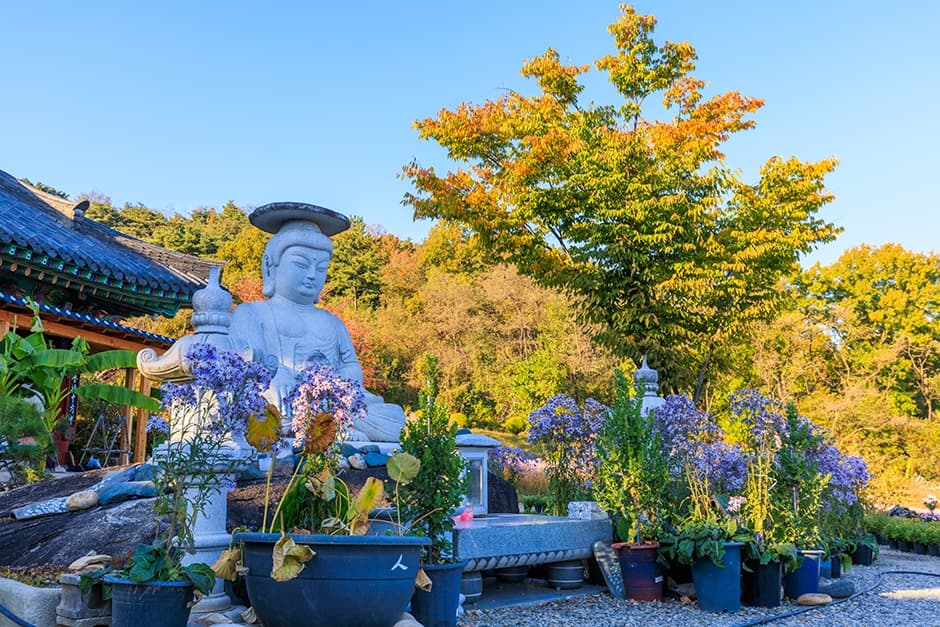 경북_문경시_봉천사_풍경_3