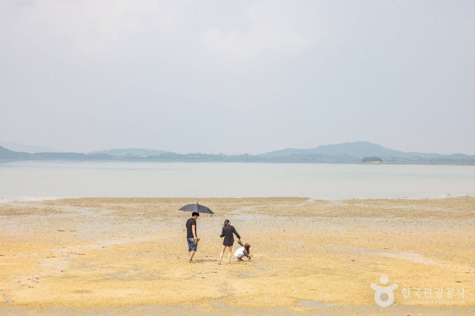 무안_홀통유원지·홀통해변 (7)