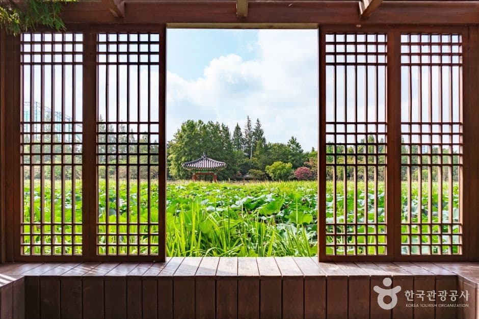 덕진공원16