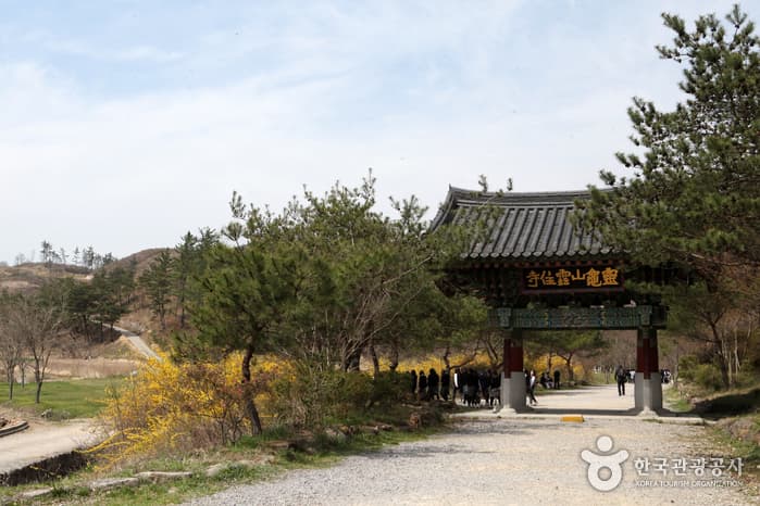 운주사_2394
