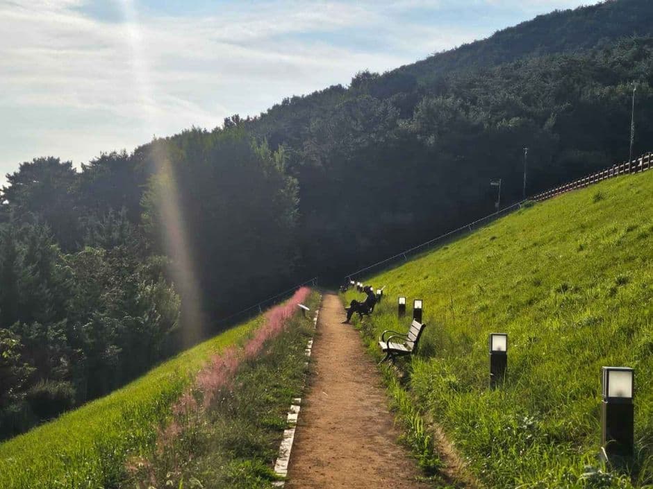 여수_미평산림욕장 (12)
