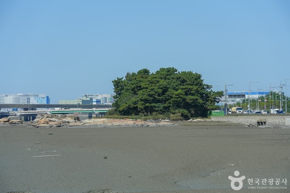아암도해안공원 (13)