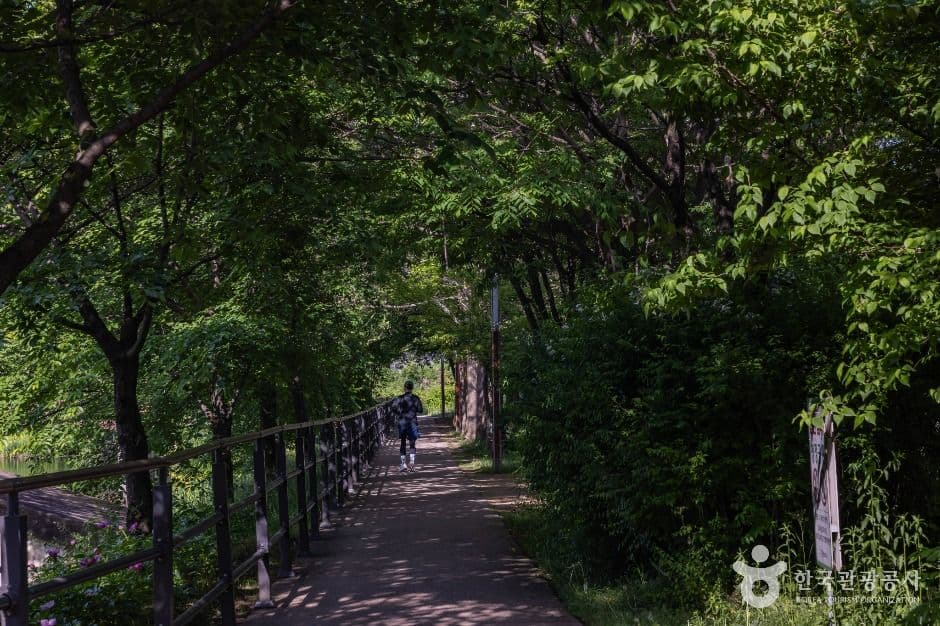 청주_송대공원 (7)