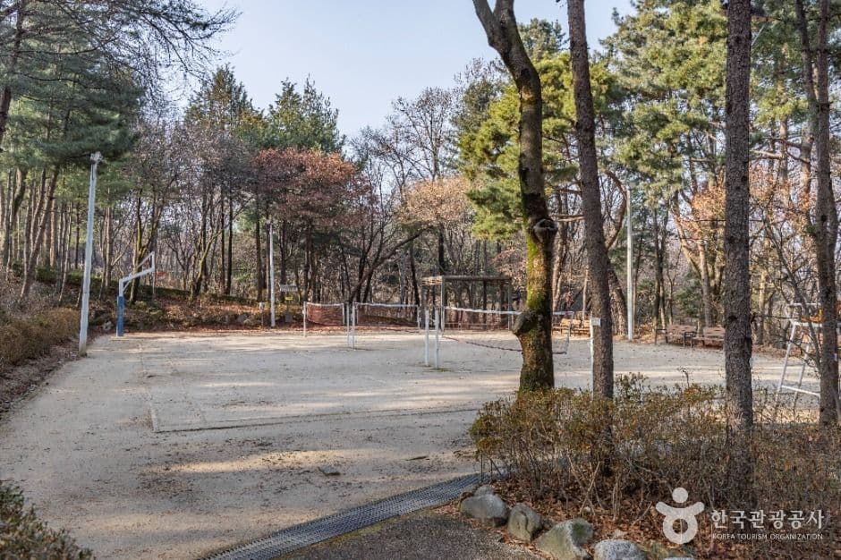 서울_대모산도시자연공원 (15)