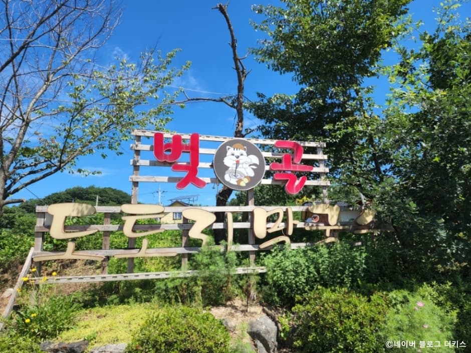 경기도_포천시_벚골도토리막국수_간판