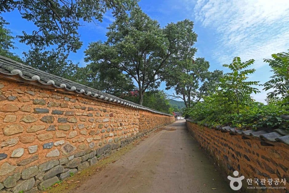 전북_익산_익산 함라마을 옛 담장 (6)