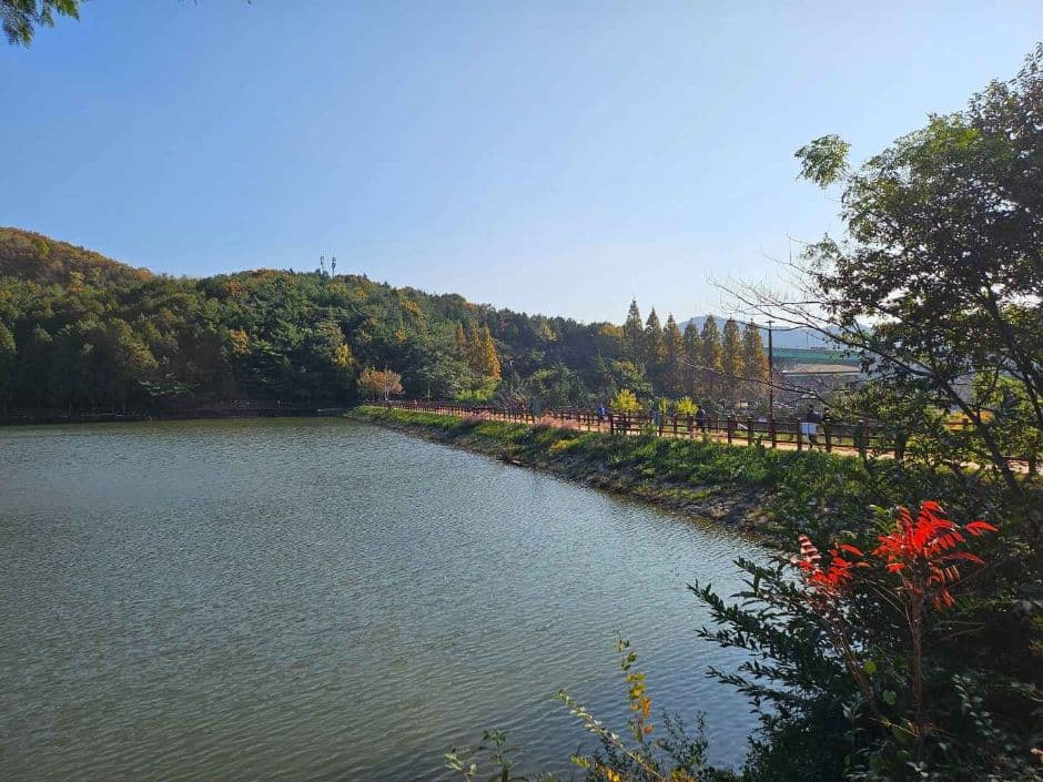 여수_미평산림욕장 (14)