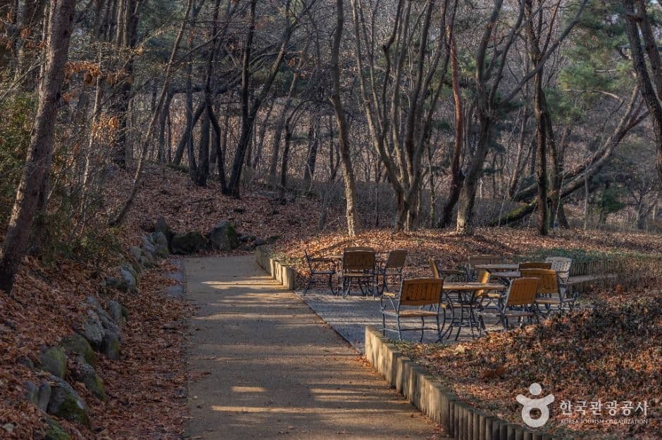 서울_대모산도시자연공원 (16)