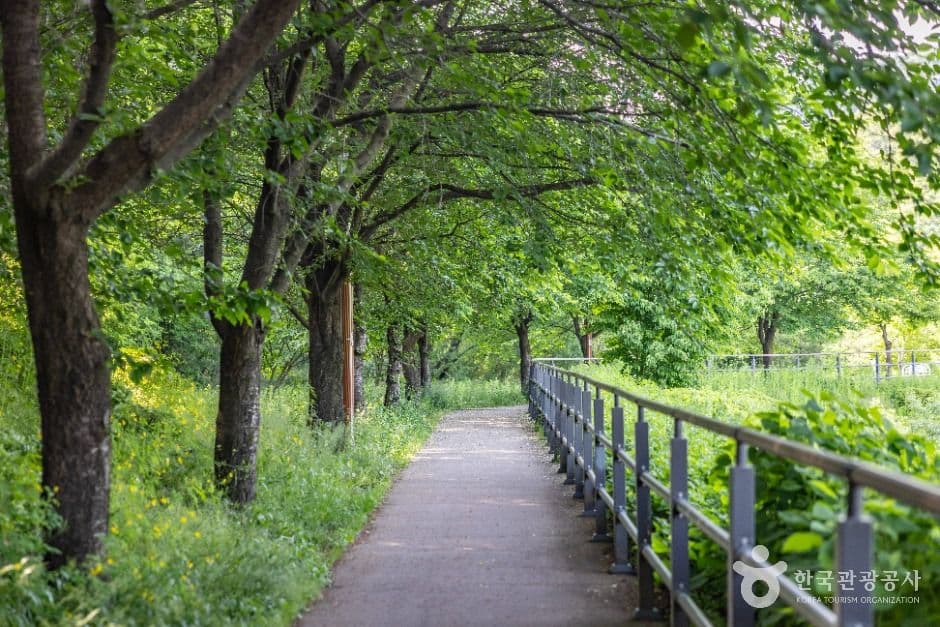 청주_송대공원 (10)