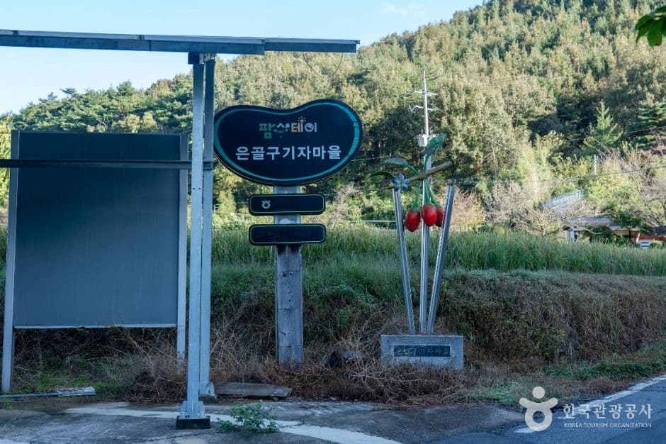 청양_청양 은골구기자마을 (1)