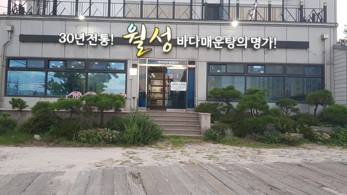 [백년가게] 월성 매운탕