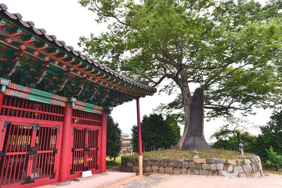 전남_여수_타루비 (3)