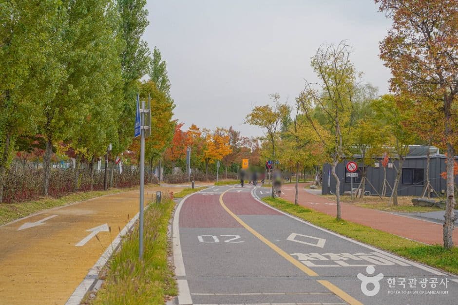 서울_난지한강공원 (9)