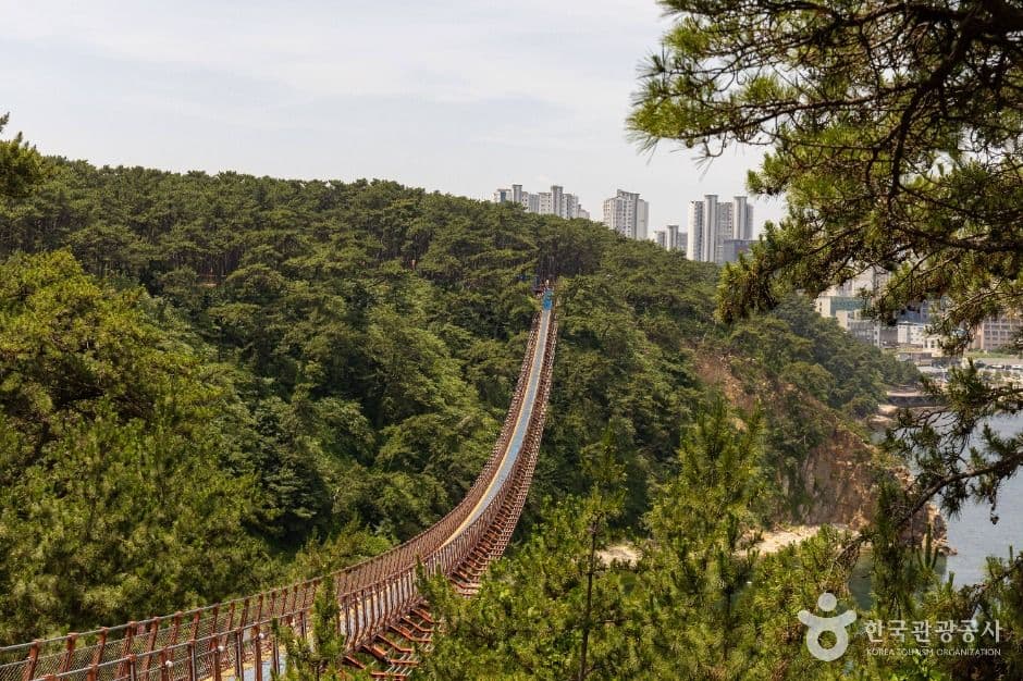 대왕암공원 출렁다리 (2)