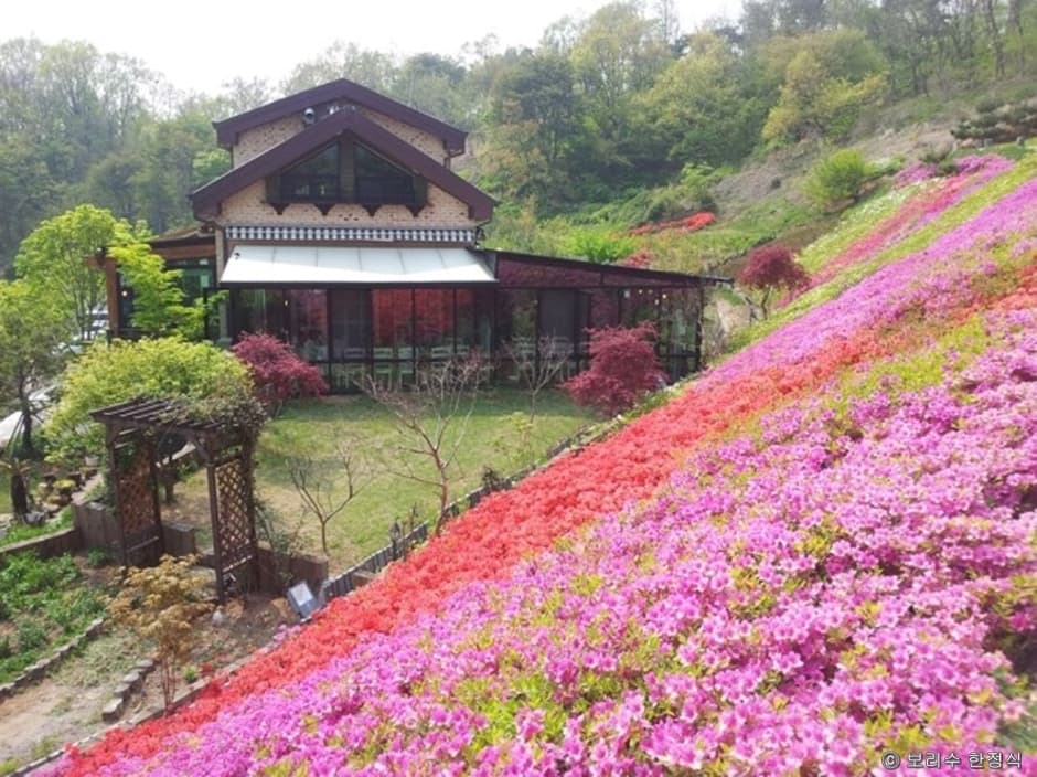 경기도_안양시_보리수한정식_야외전경